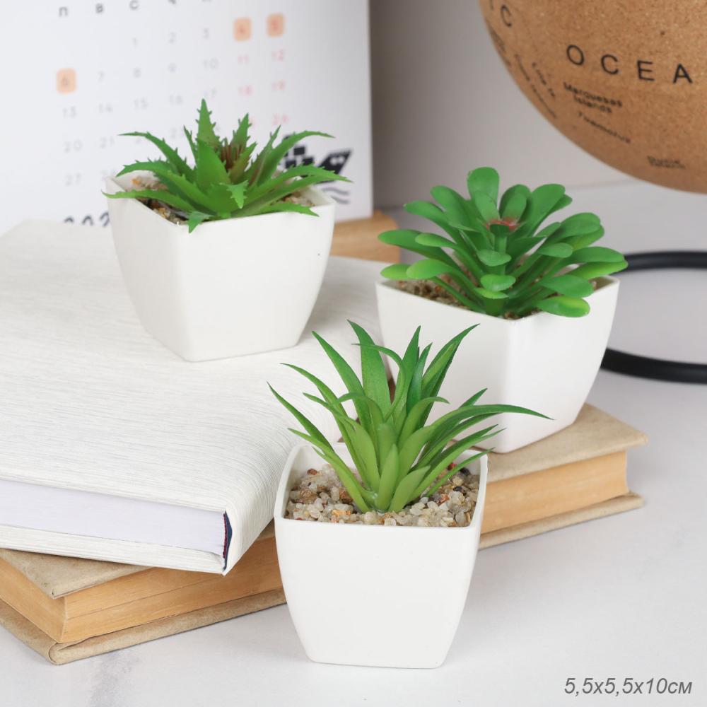 ncyt6ps8gwuv2k8ack5zbmnl2te63bta