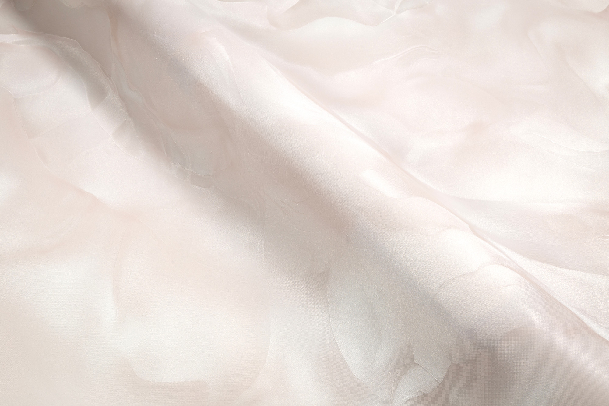 CAT_MACRO_PHOTOaI_HC72452-22_(5)