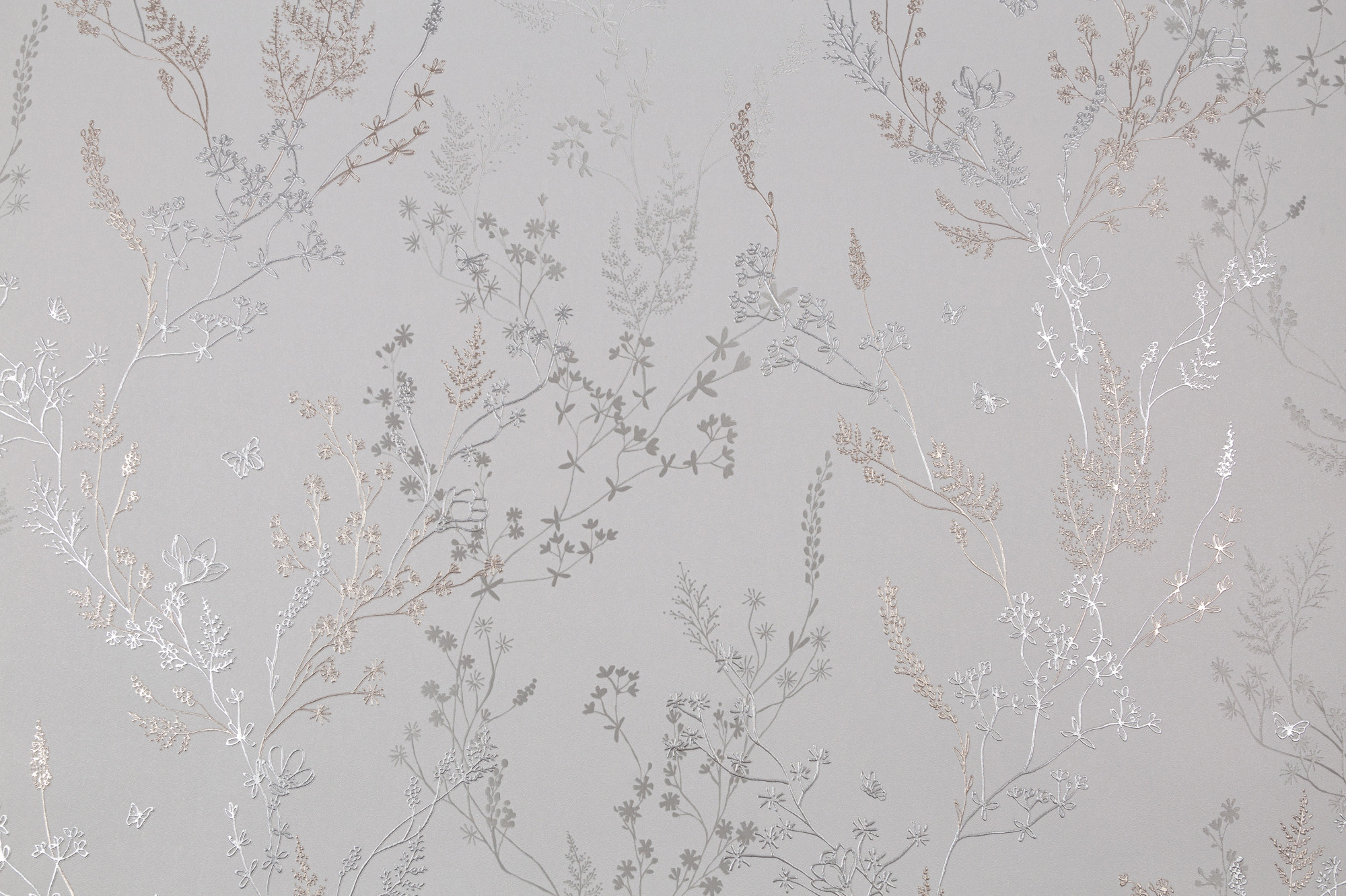 CAT_MACRO_PHOTOyI_HC72414-47_(1)