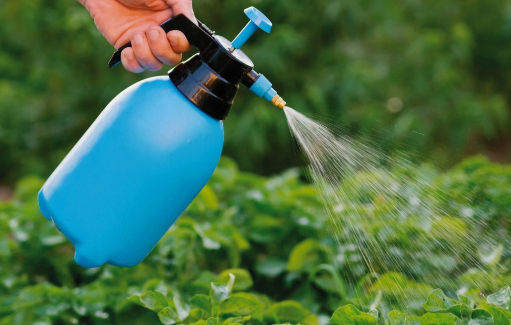 Снимок экрана_10-6-2025_133724_yandex.ru