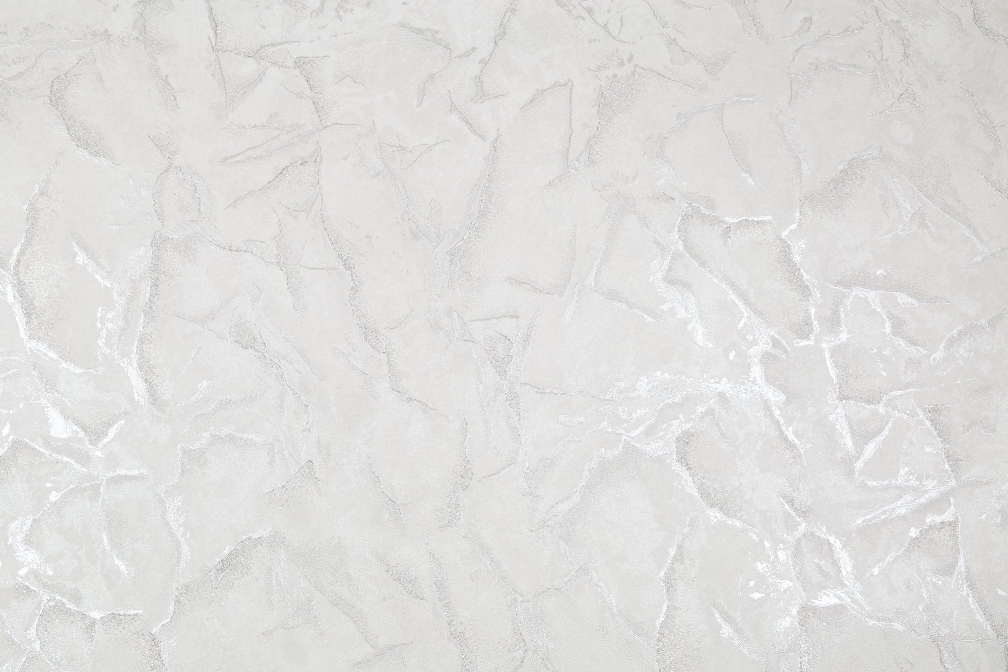 CAT_MACRO_PHOTOdI_SL72389-11_(1)