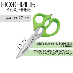 т20