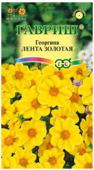 Снимок