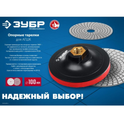 Снимок экрана_12-2-2025_16026_www.zubr36.ru