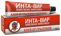 т11