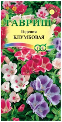 Снимок