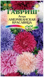 Снимок