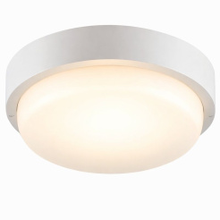 ChatGPT Image 20 янв. 2026 г., 16_27_31