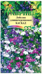 Снимок
