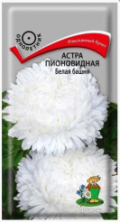 Снимок