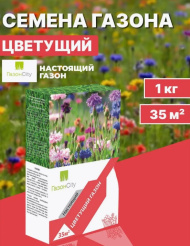 Снимок экрана_27-6-2025_81430_www.wildberries.ru