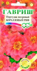 i9j9xg28denuk9q667p4fou8zwq26zb6