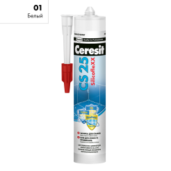 CS25_01