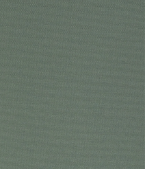 шалф1