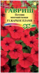 Снимок