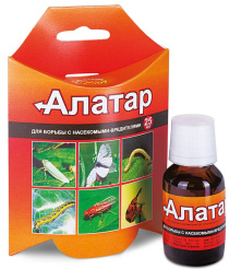 Снимок