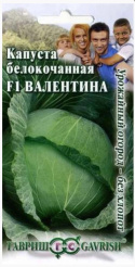 Снимок
