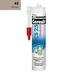 CS25_43