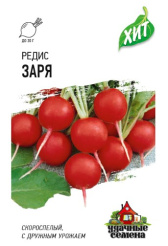 Снимок