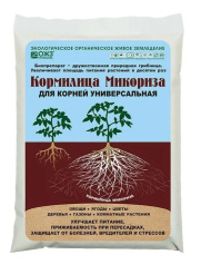 Снимок