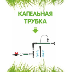 т46