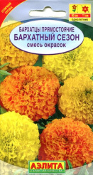 full_img730