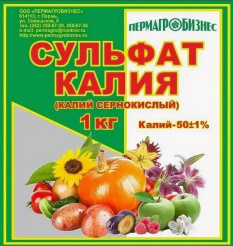 Снимок