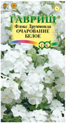 Снимок